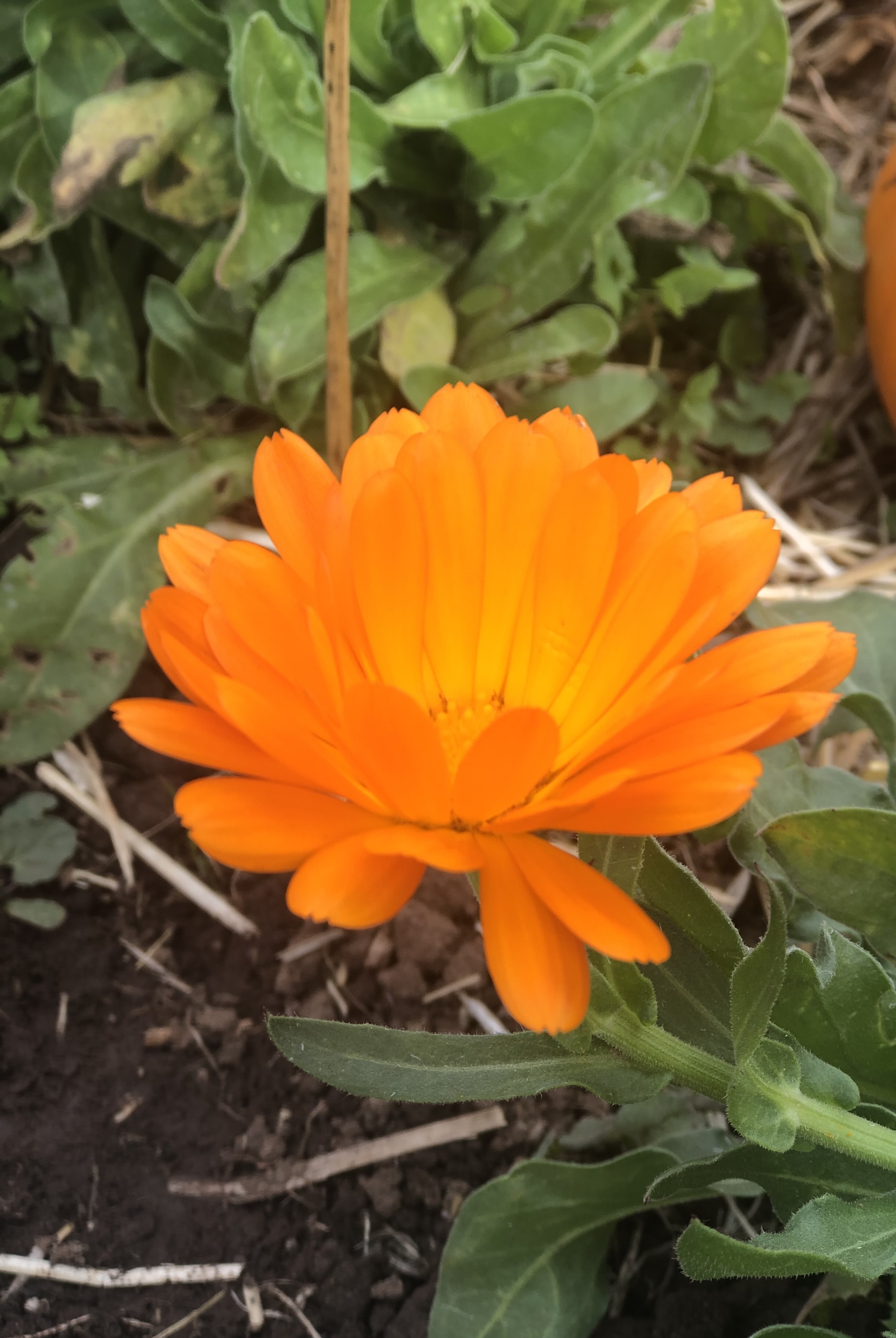 Malai Naatu Thirupathigal