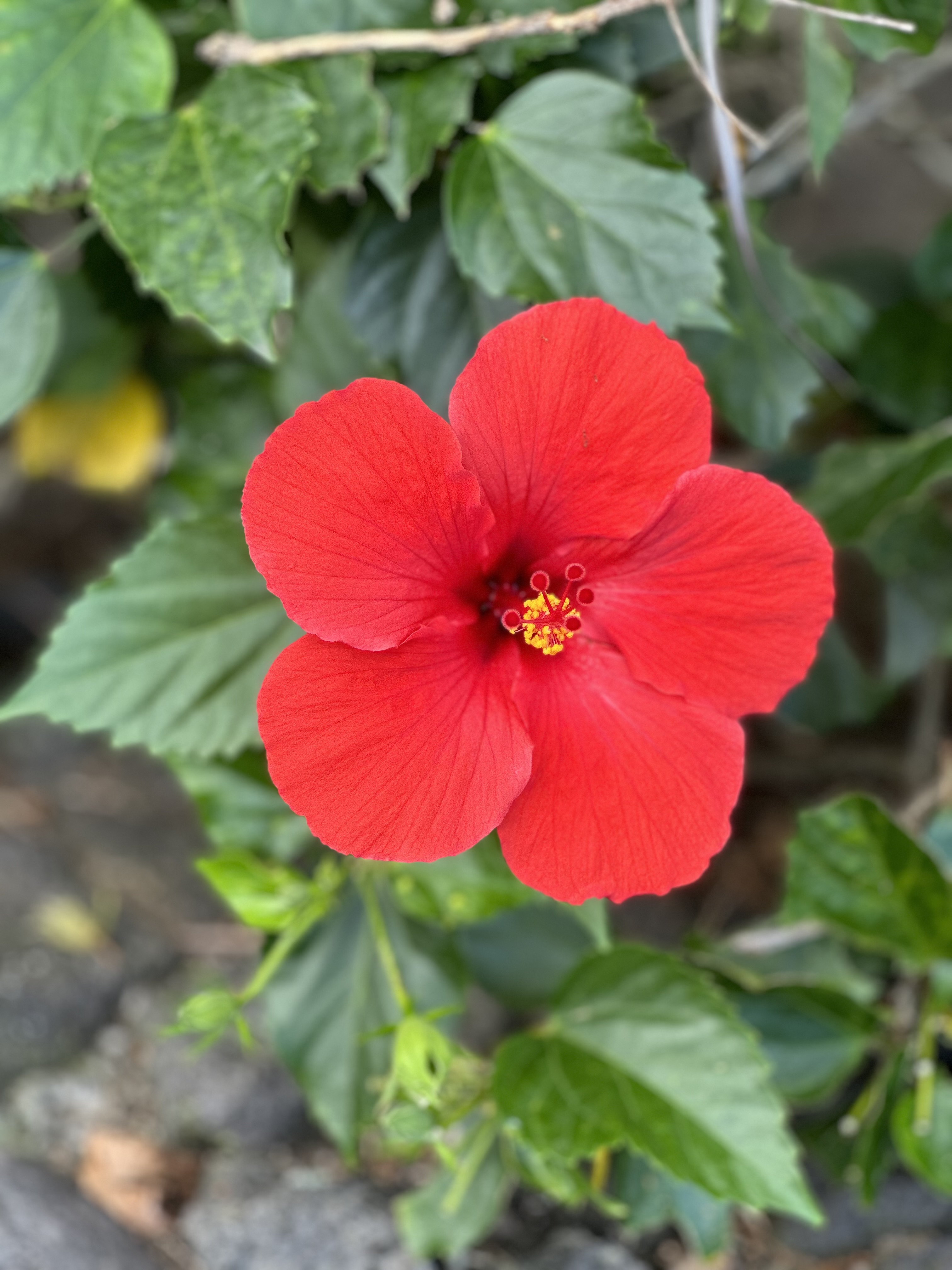 Pandiya Naatu Thirupathigal