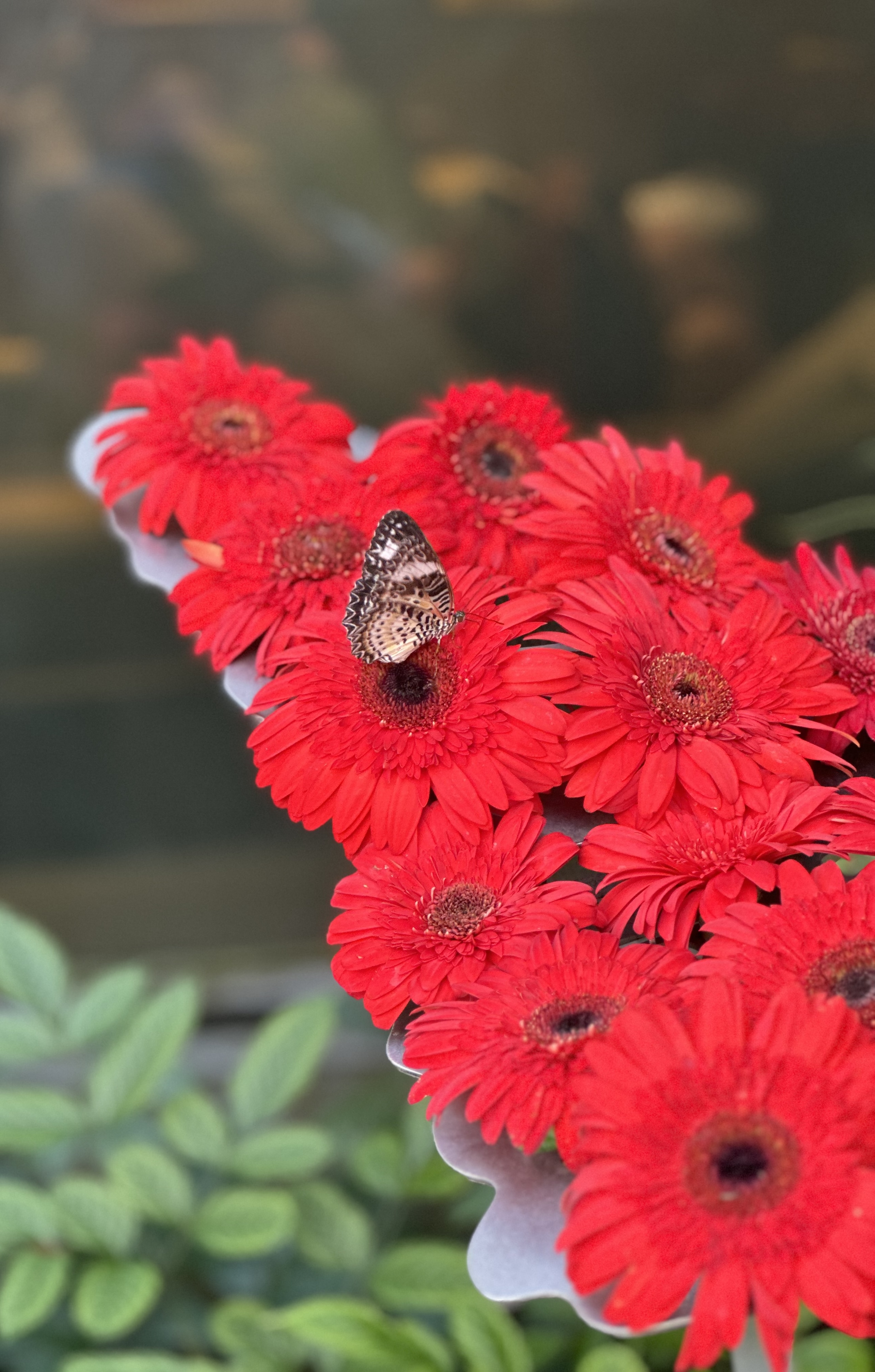 Chozha Naatu Thirupathigal